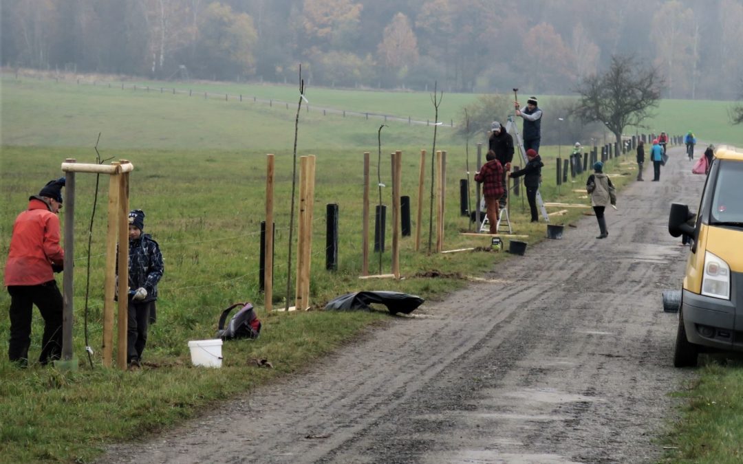 Paměť krajiny se vrací tam, kde kdysi cesty lemovaly ovocné aleje a zaniklé obce byly plné ovocných sadů