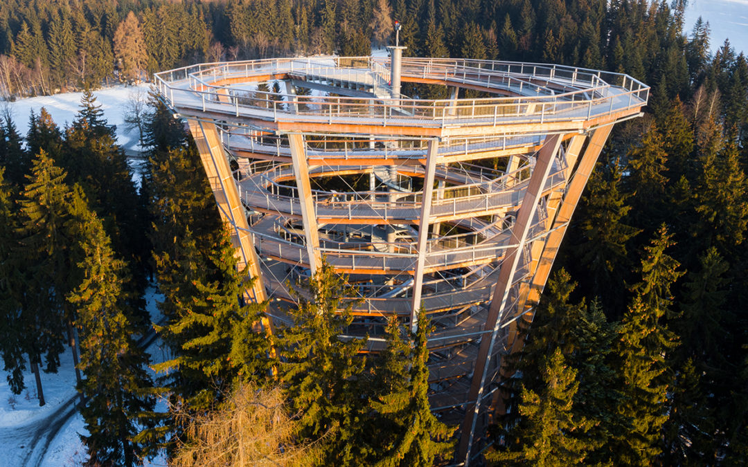 Stezka korunami stromů se opět otevírá návštěvníkům