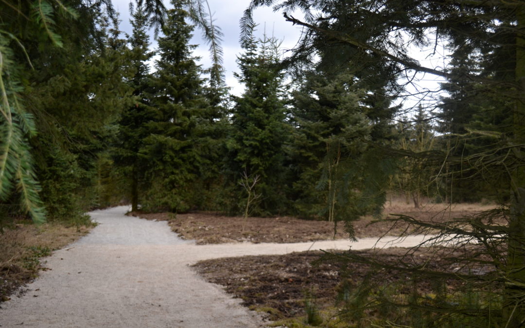 Nová úprava Jedlového hájku v Dobříši sklízí pozitivní reakce