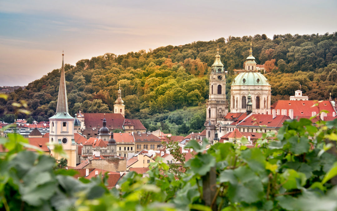 Putování za vínem po Čechách. Kam vyrazit?