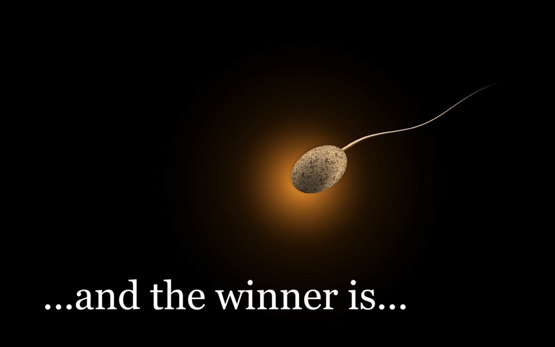 „Spermageddonu“ se bát nemusíme, říkají lékaři