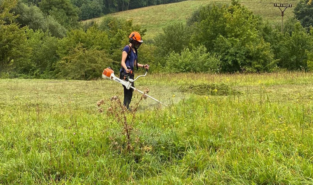 Louku pod Lipskou horou přijeli pokosit dobrovolníci z celé republiky i ze zahraničí
