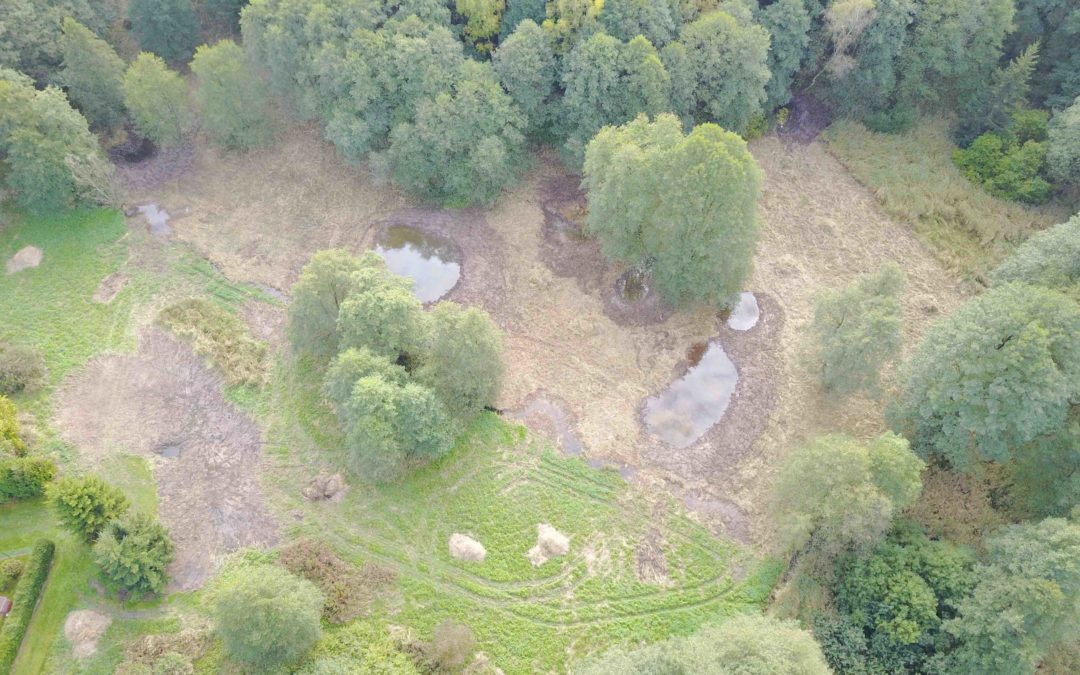 Na Vysočině vznikly nové tůně pro ohrožené druhy a lepší zadržení vody v krajině